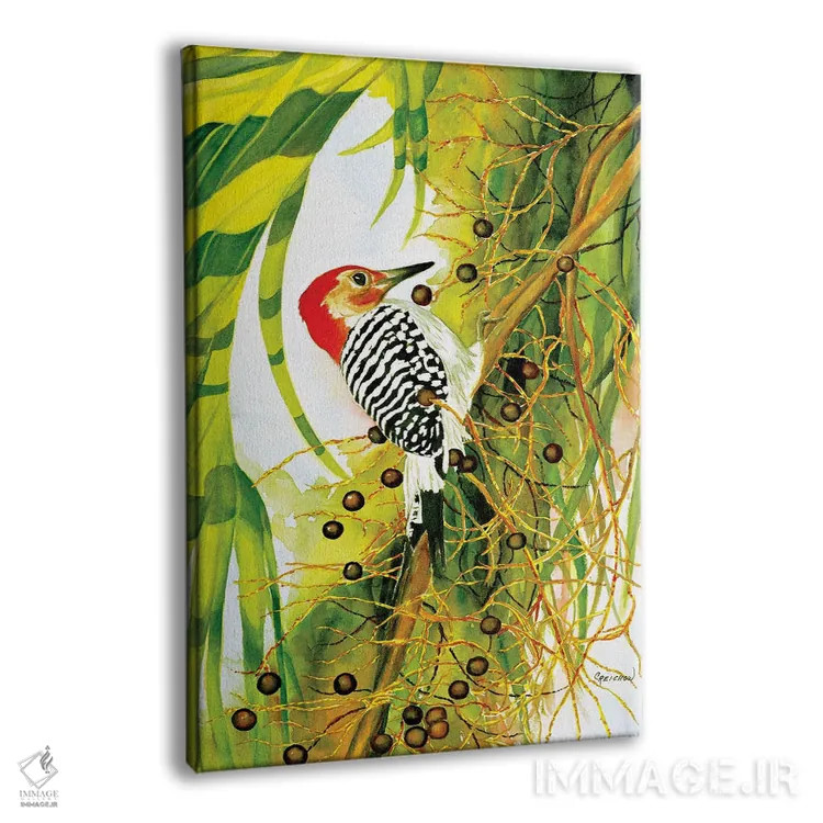 تابلو دکوراتیو دارکوب شکم قرمز اثر کریستین ریشو - نمای پرسپکتیو محصول