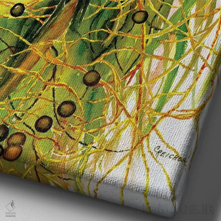 تابلو دکوراتیو دارکوب شکم قرمز اثر کریستین ریشو - نمای نزدیک بافت بوم