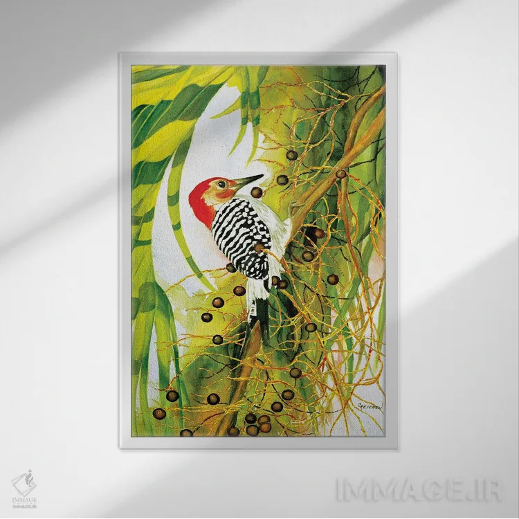 تابلو دکوراتیو دارکوب شکم قرمز اثر کریستین ریشو - نمای قابدار سفید