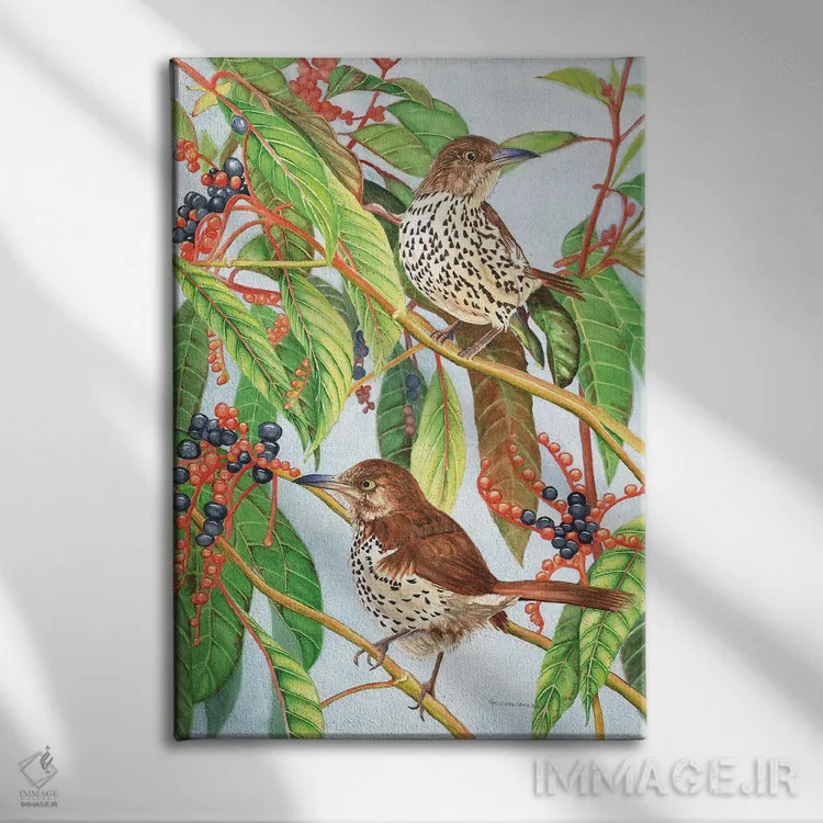 تابلو دکوراتیو سینه سرخ قهوه ای اثر کریستین ریشو - نمای روبهرو روی دیوار