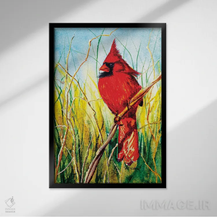 تابلو دکوراتیو عمل تعادل اثر کریستین ریشو - نمای قابدار مشکی