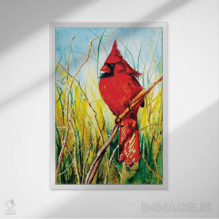 تابلو دکوراتیو عمل تعادل اثر کریستین ریشو - نمای قابدار سفید