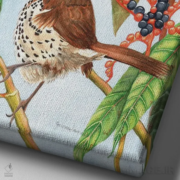 تابلو دکوراتیو سینه سرخ قهوه ای اثر کریستین ریشو - نمای نزدیک بافت بوم