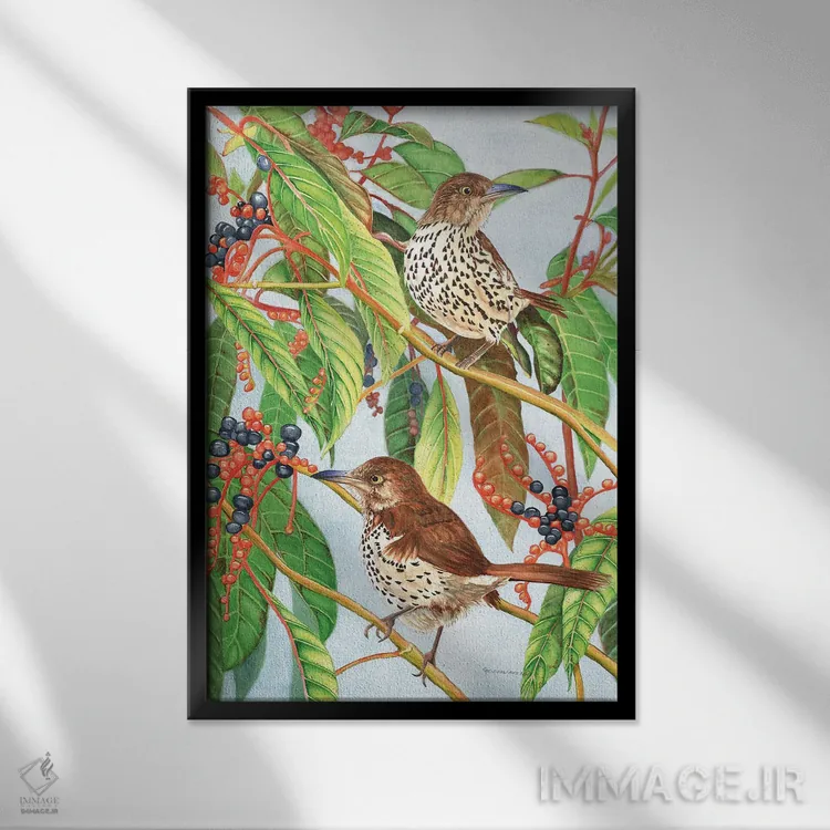 تابلو دکوراتیو سینه سرخ قهوه ای اثر کریستین ریشو - نمای قابدار مشکی