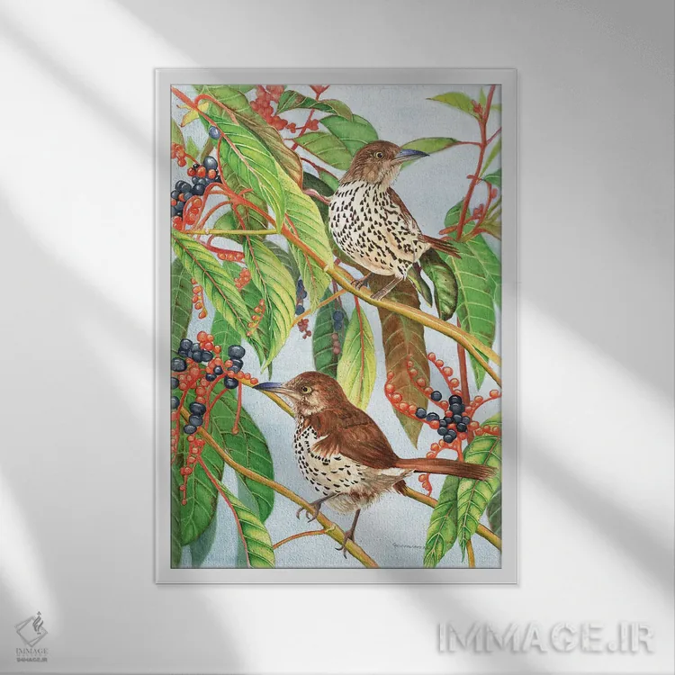 تابلو دکوراتیو سینه سرخ قهوه ای اثر کریستین ریشو - نمای قابدار سفید