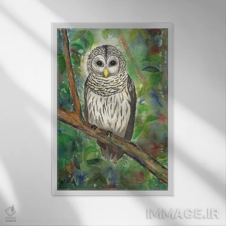 تابلو دکوراتیو جغد نواره دار اثر کریستین ریشو - نمای قابدار سفید