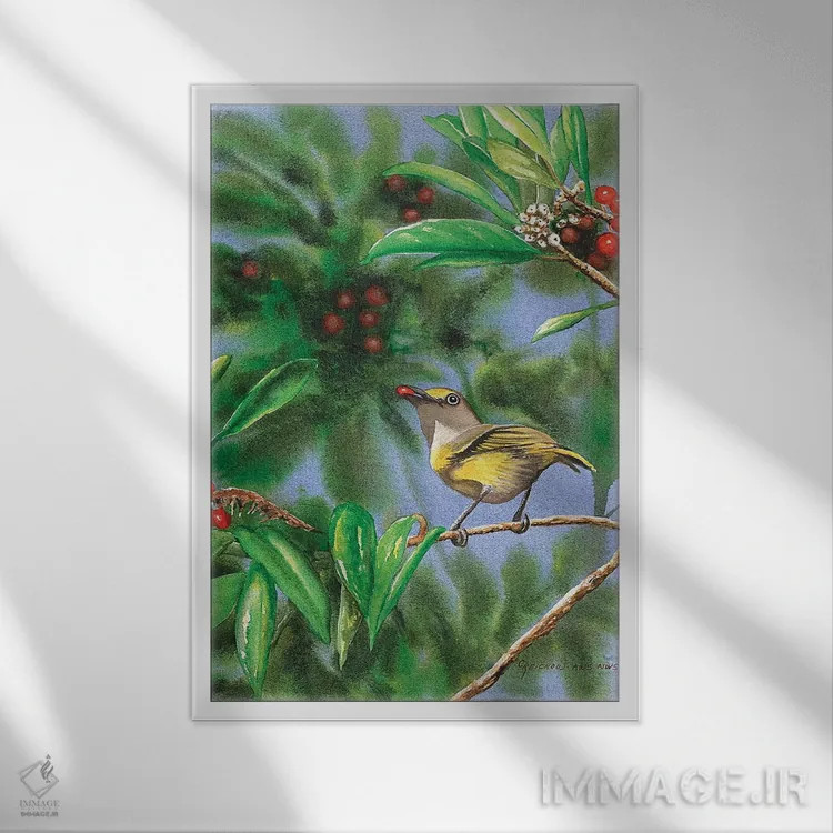 تابلو دکوراتیو ویرو چشم سفید اثر کریستین ریشو - نمای قابدار سفید