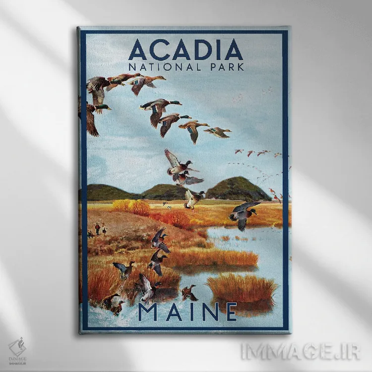 تابلو دکوراتیو پوستر سفر به آکادیا اثر ستردی ایونینگ پست - نمای روبهرو روی دیوار