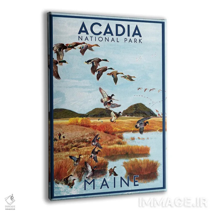 تابلو دکوراتیو پوستر سفر به آکادیا اثر ستردی ایونینگ پست - نمای پرسپکتیو محصول