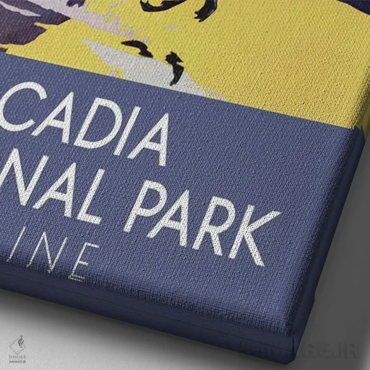 تابلو دکوراتیو پارک ملی آکادیا اثر ستردی ایونینگ پست - نمای نزدیک بافت بوم