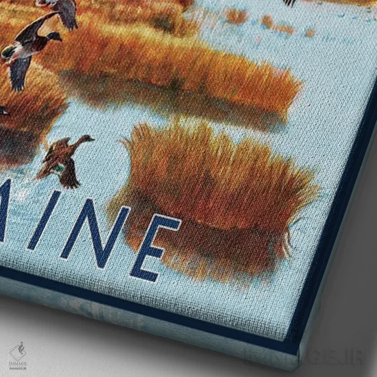 تابلو دکوراتیو پوستر سفر به آکادیا اثر ستردی ایونینگ پست - نمای نزدیک بافت بوم