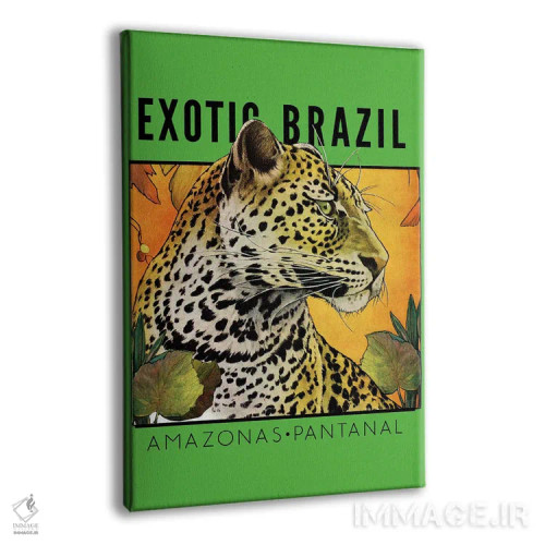 تابلو دکوراتیو برزیل عجیب و غریب اثر ستردی ایونینگ پست - نمای پرسپکتیو محصول