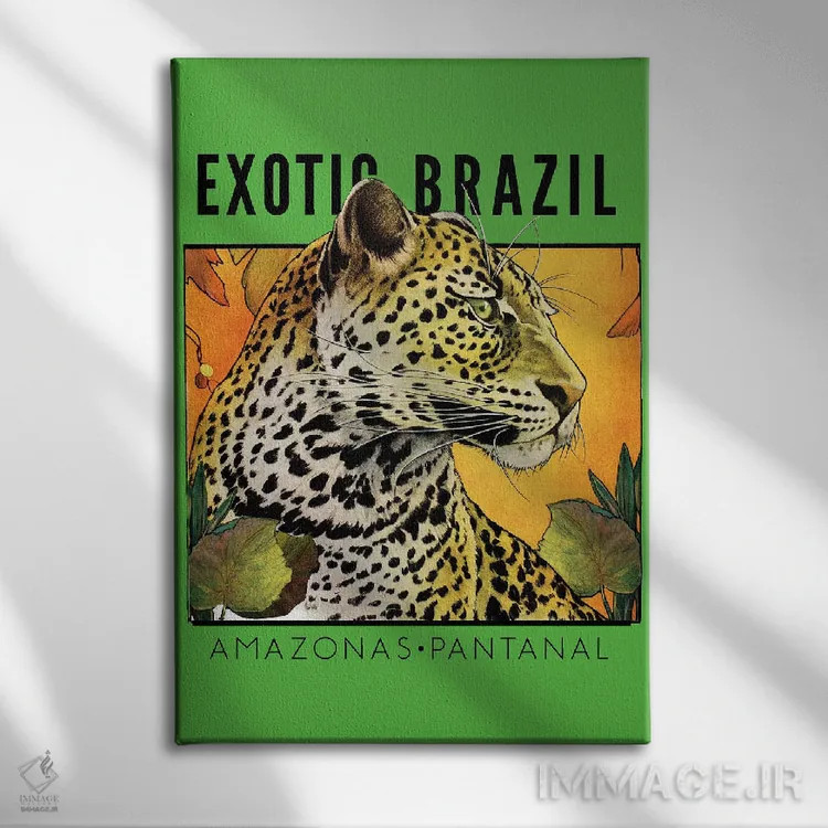 تابلو دکوراتیو برزیل عجیب و غریب اثر ستردی ایونینگ پست - نمای روبهرو روی دیوار