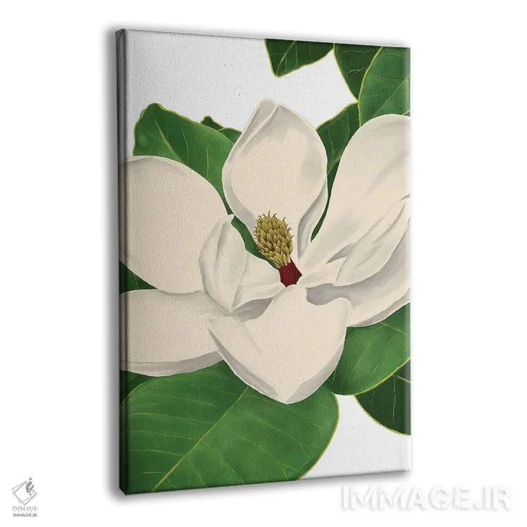 تابلو دکوراتیو ماگنولیا ۲ اثر ستردی ایونینگ پست - نمای پرسپکتیو محصول