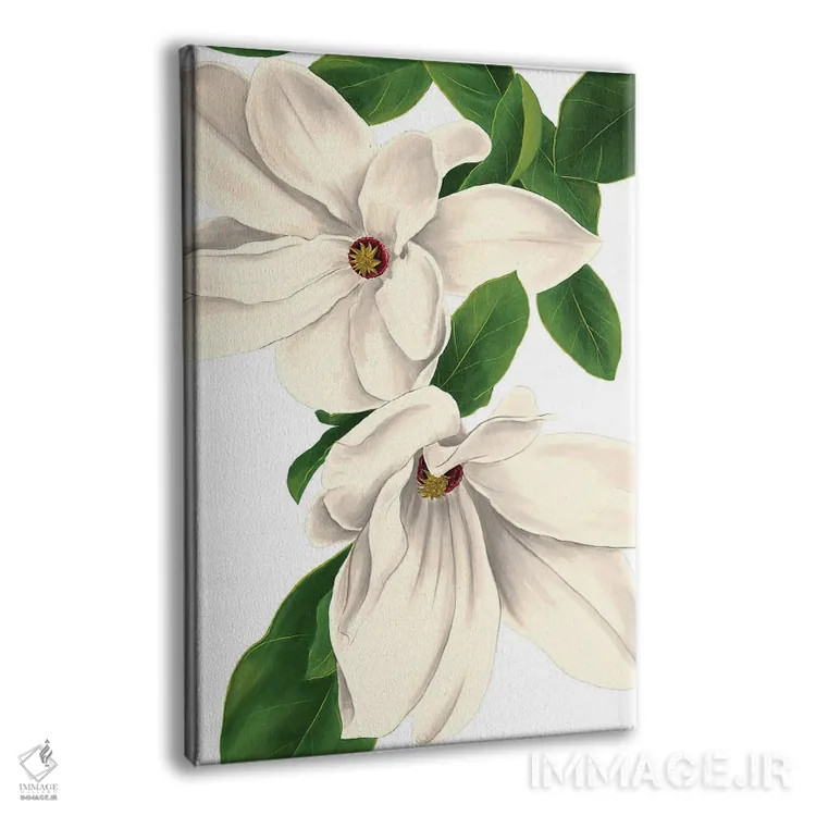 تابلو دکوراتیو ماگنولیا ۱ اثر ستردی ایونینگ پست - نمای پرسپکتیو محصول