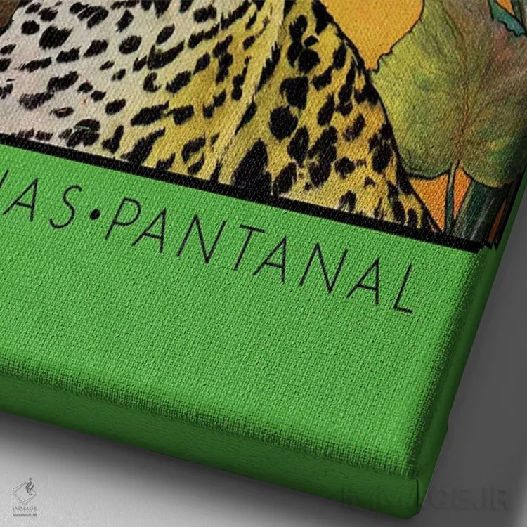 تابلو دکوراتیو برزیل عجیب و غریب اثر ستردی ایونینگ پست - نمای نزدیک بافت بوم