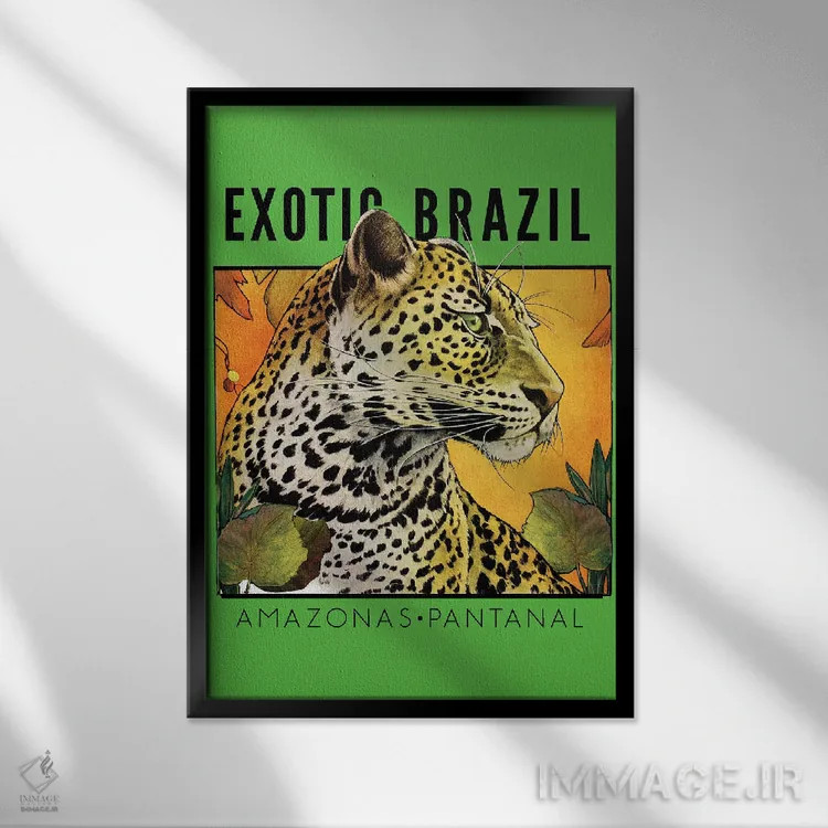 تابلو دکوراتیو برزیل عجیب و غریب اثر ستردی ایونینگ پست - نمای قابدار مشکی