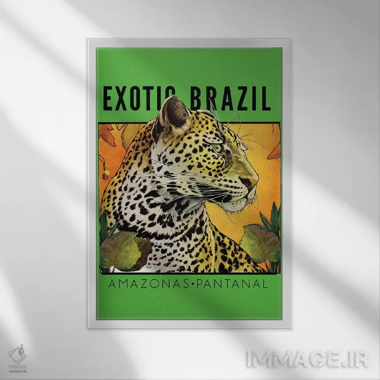 تابلو دکوراتیو برزیل عجیب و غریب اثر ستردی ایونینگ پست - نمای قابدار سفید