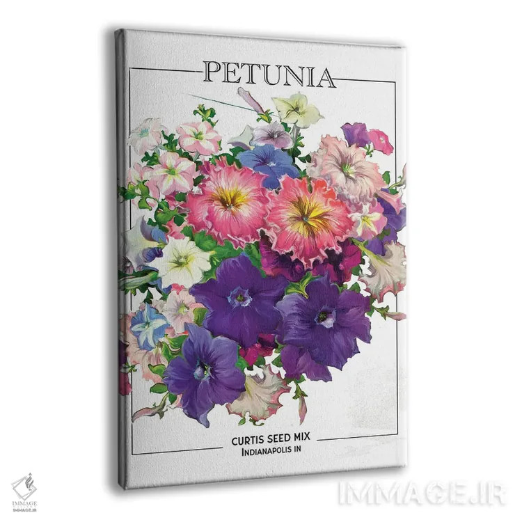 تابلو دکوراتیو پوستر قدیمی بذر گل پتونیا اثر ستردی ایونینگ پست - نمای پرسپکتیو محصول
