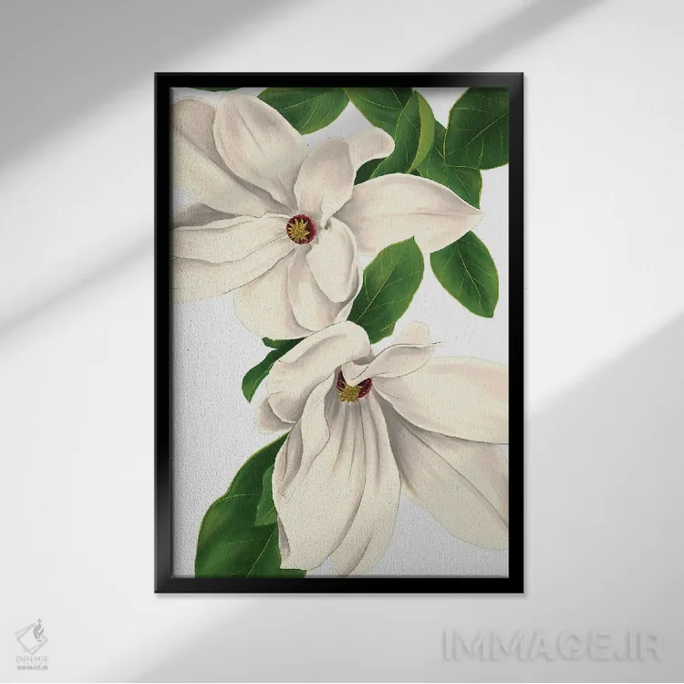 تابلو دکوراتیو ماگنولیا ۱ اثر ستردی ایونینگ پست - نمای قابدار مشکی