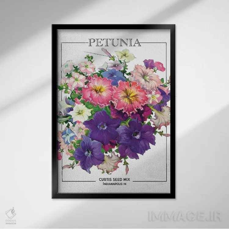 تابلو دکوراتیو پوستر قدیمی بذر گل پتونیا اثر ستردی ایونینگ پست - نمای قابدار مشکی