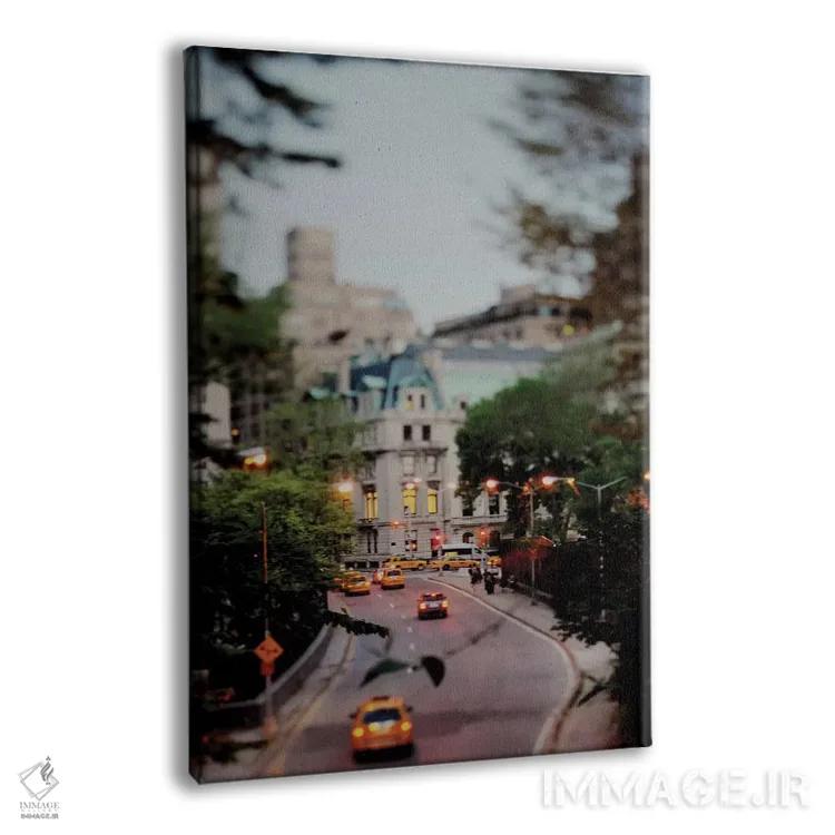 تابلو دکوراتیو افسانه های سنترال پارک اثر چلسیا ویکتوریا - نمای پرسپکتیو محصول