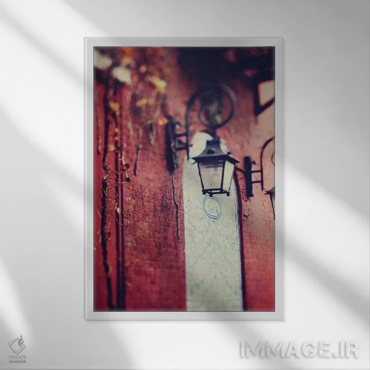 تابلو دکوراتیو روستا اثر چلسیا ویکتوریا - نمای قابدار سفید