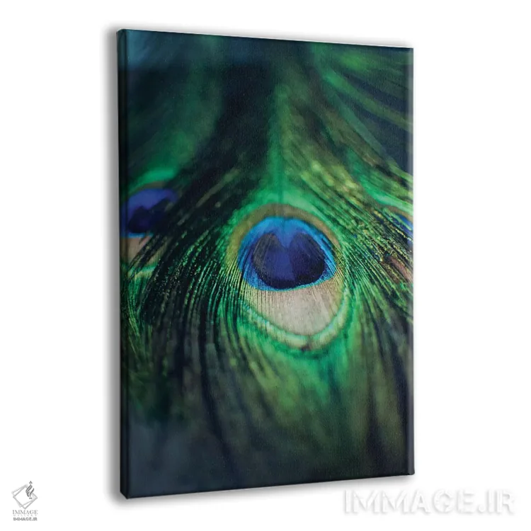 تابلو دکوراتیو پرهای طاووس ۱ اثر چلسیا ویکتوریا - نمای پرسپکتیو محصول