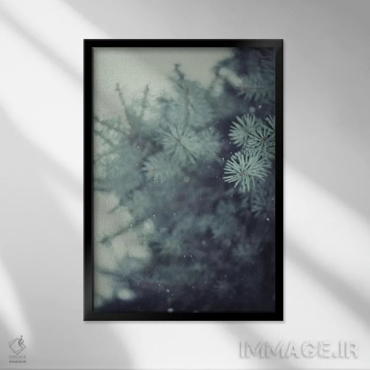 تابلو دکوراتیو کاج زمستانی اثر چلسیا ویکتوریا - نمای قابدار مشکی