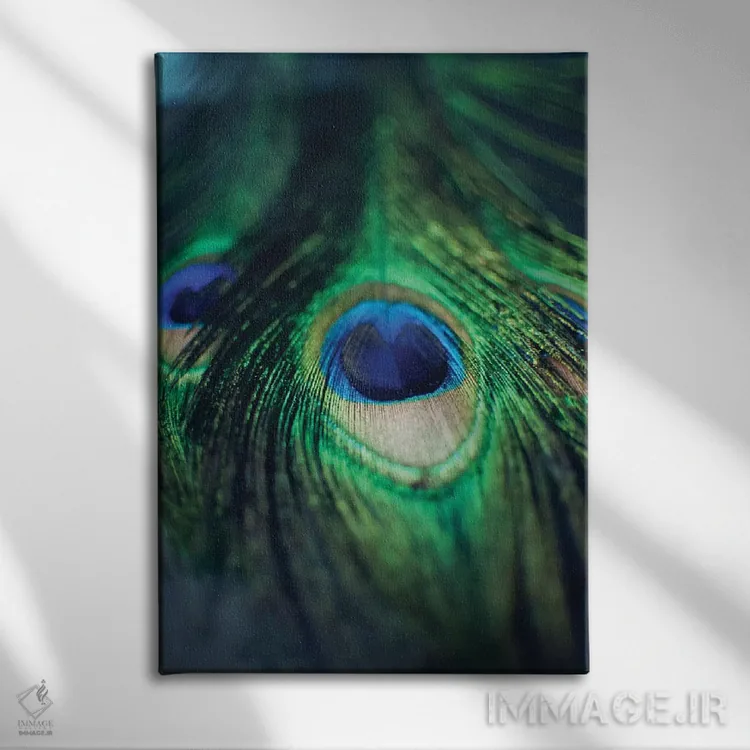 تابلو دکوراتیو پرهای طاووس ۱ اثر چلسیا ویکتوریا - نمای روبهرو روی دیوار