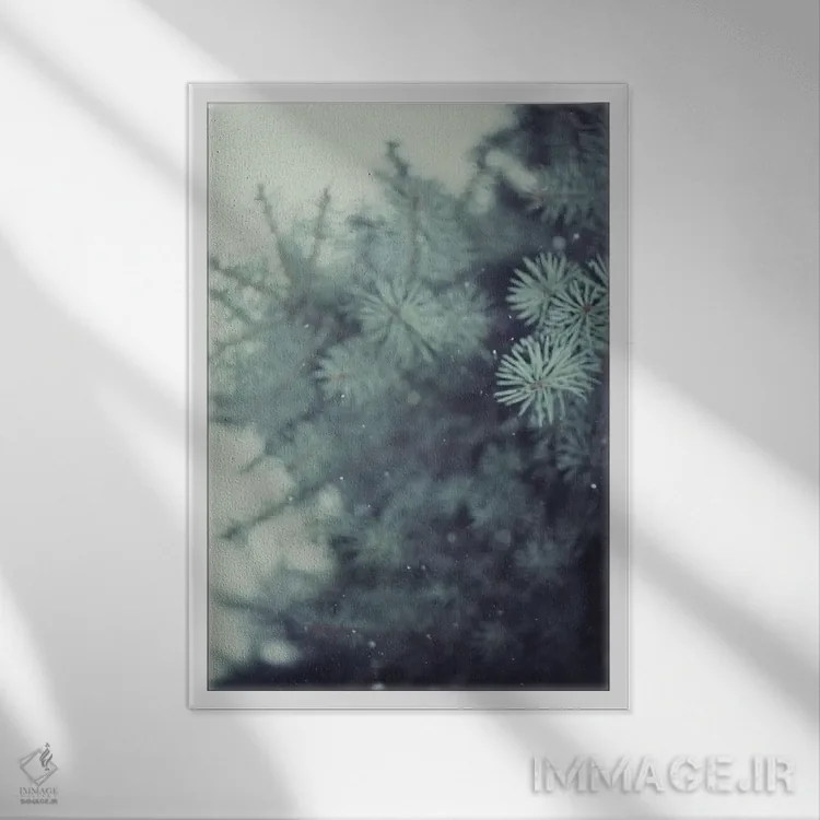 تابلو دکوراتیو کاج زمستانی اثر چلسیا ویکتوریا - نمای قابدار سفید