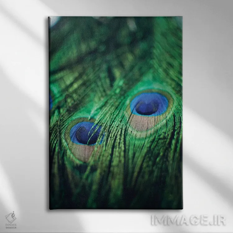تابلو دکوراتیو پرهای طاووس ۲ اثر چلسیا ویکتوریا - نمای روبهرو روی دیوار