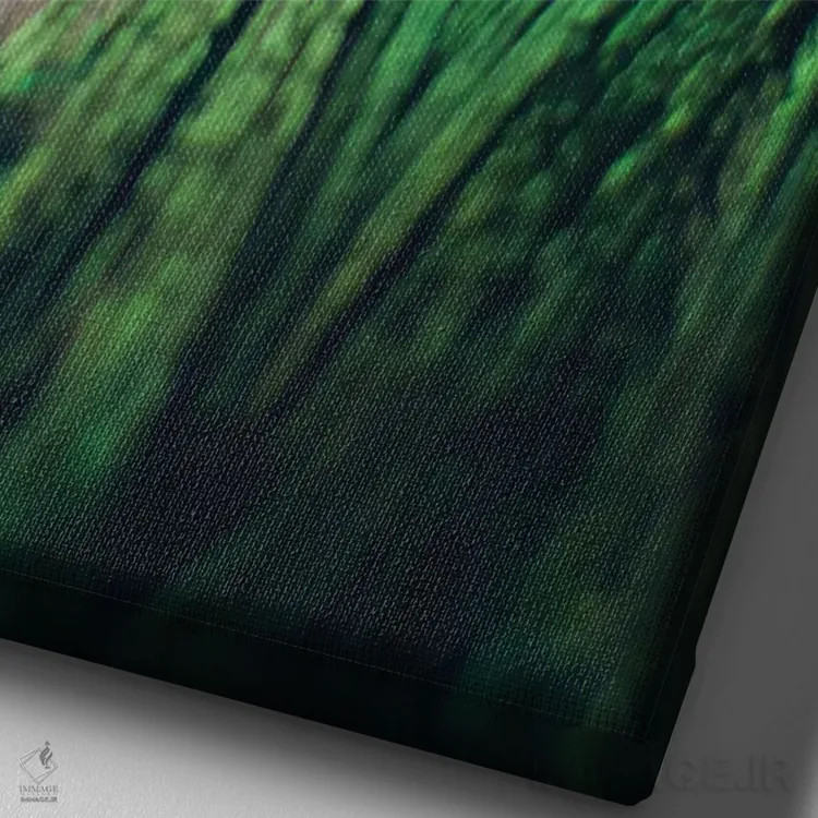 تابلو دکوراتیو پرهای طاووس ۲ اثر چلسیا ویکتوریا - نمای نزدیک بافت بوم