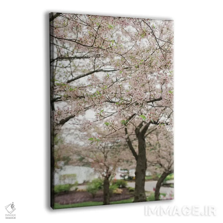 تابلو دکوراتیو شکوفه های گیلاس اثر چلسیا ویکتوریا - نمای پرسپکتیو محصول