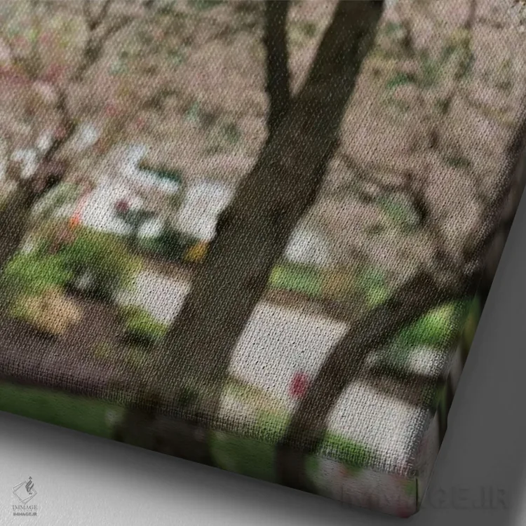 تابلو دکوراتیو شکوفه های گیلاس اثر چلسیا ویکتوریا - نمای نزدیک بافت بوم