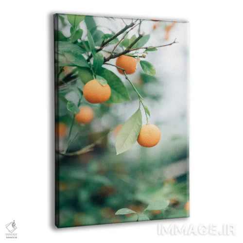 تابلو دکوراتیو درخت پرتقال اثر چلسیا ویکتوریا - نمای پرسپکتیو محصول
