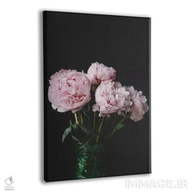 تابلو دکوراتیو صدتومانی ها روی زمینه سیاه ۲ اثر چلسیا ویکتوریا - نمای پرسپکتیو محصول