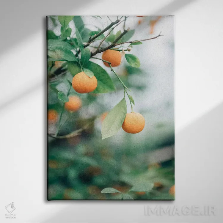 تابلو دکوراتیو درخت پرتقال اثر چلسیا ویکتوریا - نمای روبهرو روی دیوار