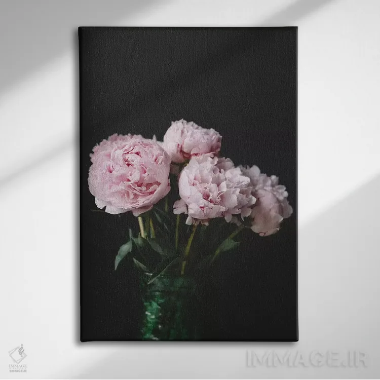 تابلو دکوراتیو صدتومانی ها روی زمینه سیاه ۲ اثر چلسیا ویکتوریا - نمای روبهرو روی دیوار