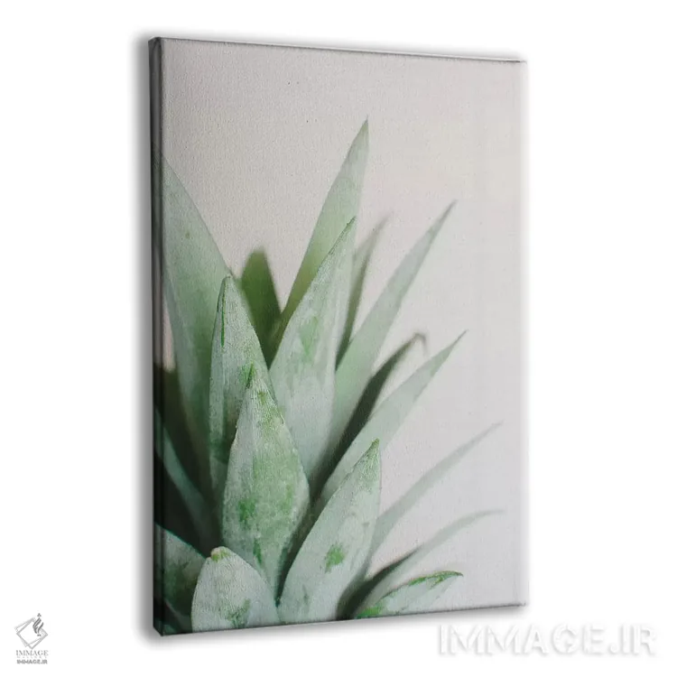 تابلو مینیمال سر آناناس ۱ اثر چلسیا ویکتوریا - نمای پرسپکتیو محصول