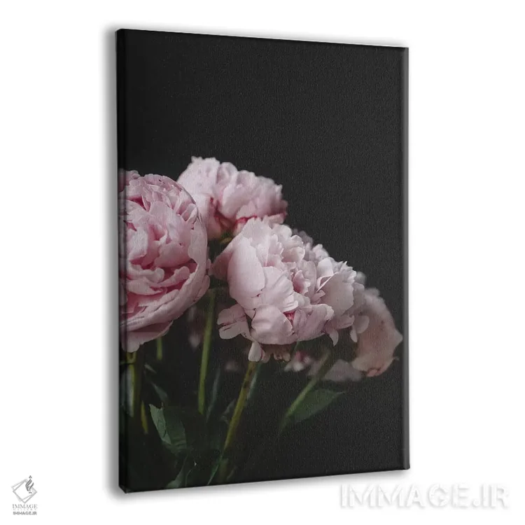 تابلو دکوراتیو صدتومانی های صورتی روی زمینه سیاه ۱ اثر چلسیا ویکتوریا - نمای پرسپکتیو محصول