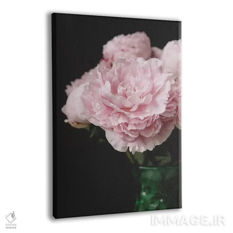 تابلو دکوراتیو صدتومانی های صورتی روی زمینه سیاه ۲ اثر چلسیا ویکتوریا - نمای پرسپکتیو محصول