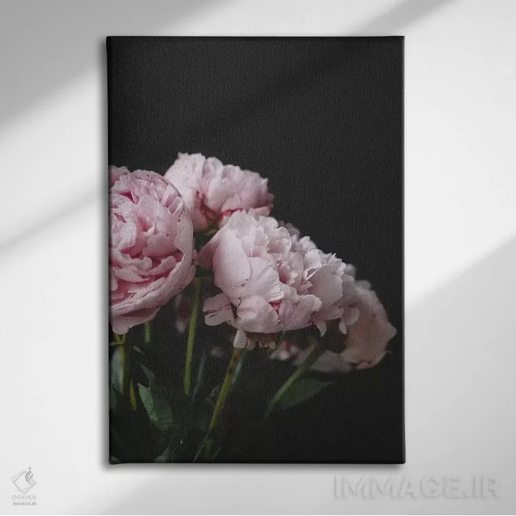 تابلو دکوراتیو صدتومانی های صورتی روی زمینه سیاه ۱ اثر چلسیا ویکتوریا - نمای روبهرو روی دیوار