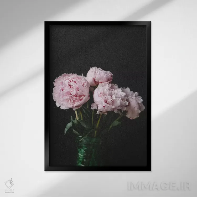 تابلو دکوراتیو صدتومانی ها روی زمینه سیاه ۲ اثر چلسیا ویکتوریا - نمای قابدار مشکی