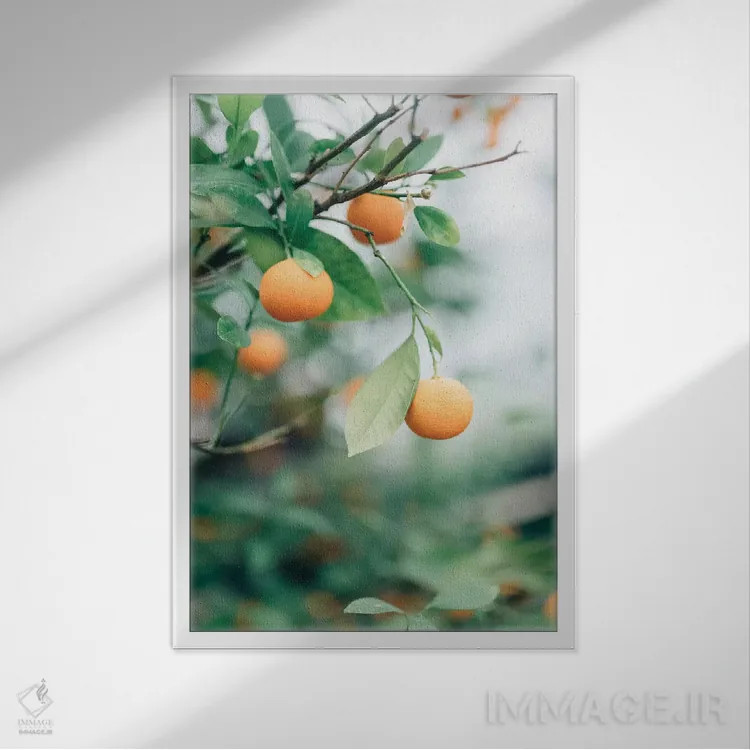 تابلو دکوراتیو درخت پرتقال اثر چلسیا ویکتوریا - نمای قابدار سفید