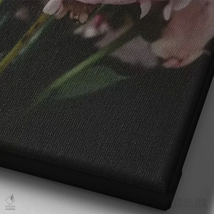 تابلو دکوراتیو صدتومانی های صورتی روی زمینه سیاه ۱ اثر چلسیا ویکتوریا - نمای نزدیک بافت بوم