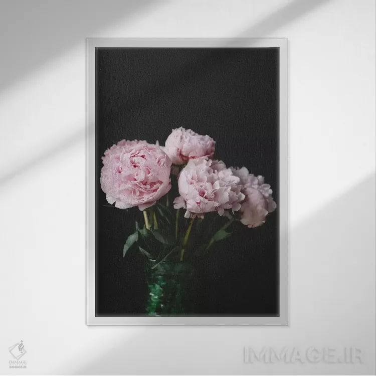 تابلو دکوراتیو صدتومانی ها روی زمینه سیاه ۲ اثر چلسیا ویکتوریا - نمای قابدار سفید