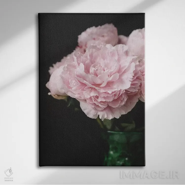 تابلو دکوراتیو صدتومانی های صورتی روی زمینه سیاه ۲ اثر چلسیا ویکتوریا - نمای روبهرو روی دیوار