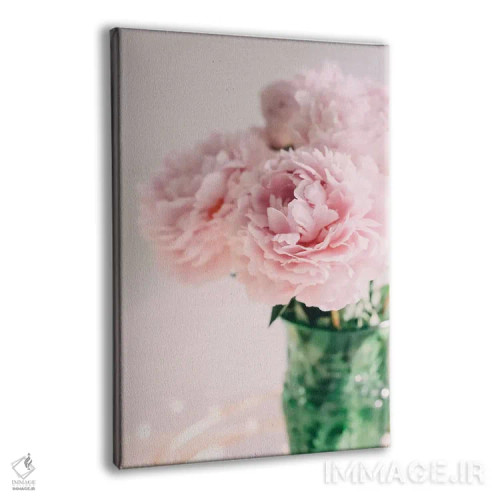 تابلو دکوراتیو صدتومانی های صورتی روی زمینه سفید ۲ اثر چلسیا ویکتوریا - نمای پرسپکتیو محصول