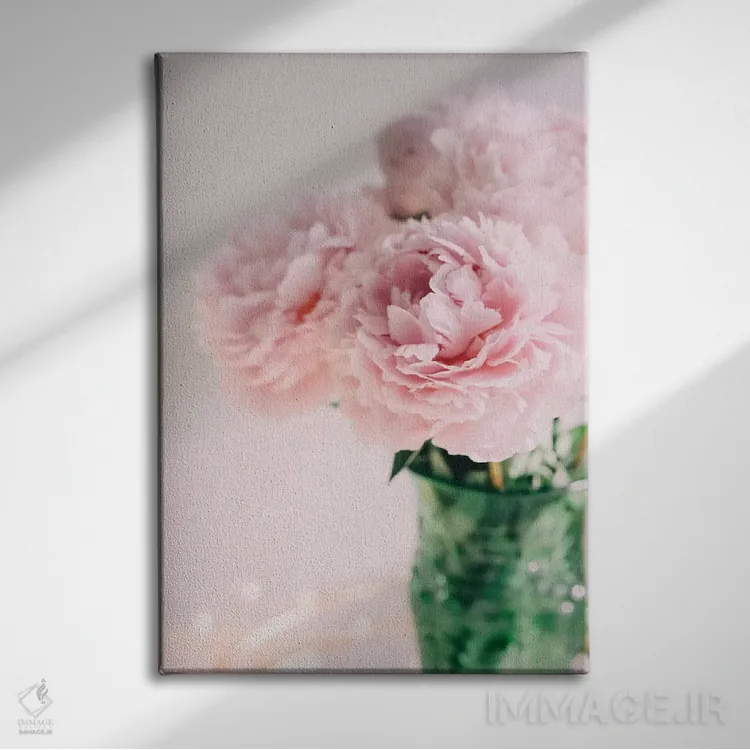 تابلو دکوراتیو صدتومانی های صورتی روی زمینه سفید ۲ اثر چلسیا ویکتوریا - نمای روبهرو روی دیوار